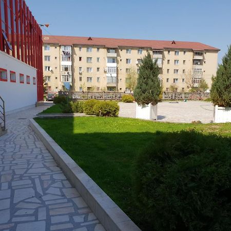 Pensiunea Ghiocela Motru Εξωτερικό φωτογραφία